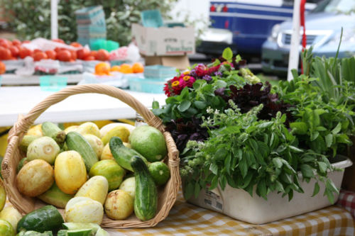 The Food Bank of North Alabama helps families access fresh foods from local farmers by promoting the use of SNAP (formerly Food Stamps) at farmers markets.